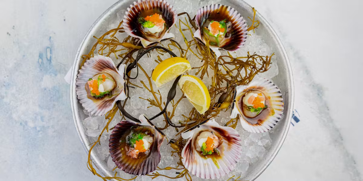 Bluewater Grill signature dishes Fisherman's Platter
Francisco Cioppino
Fresh Shucked Oysters
